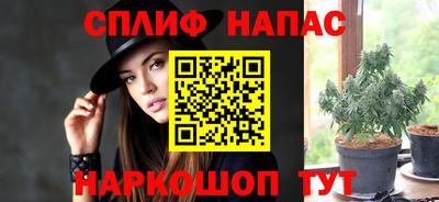гидра Заволжье